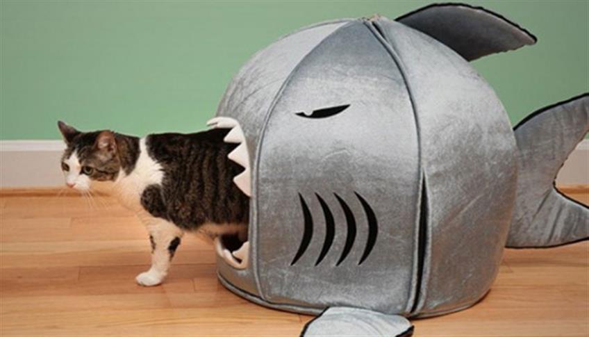 Una casetta per i tuoi animali Una casetta per i tuoi animali